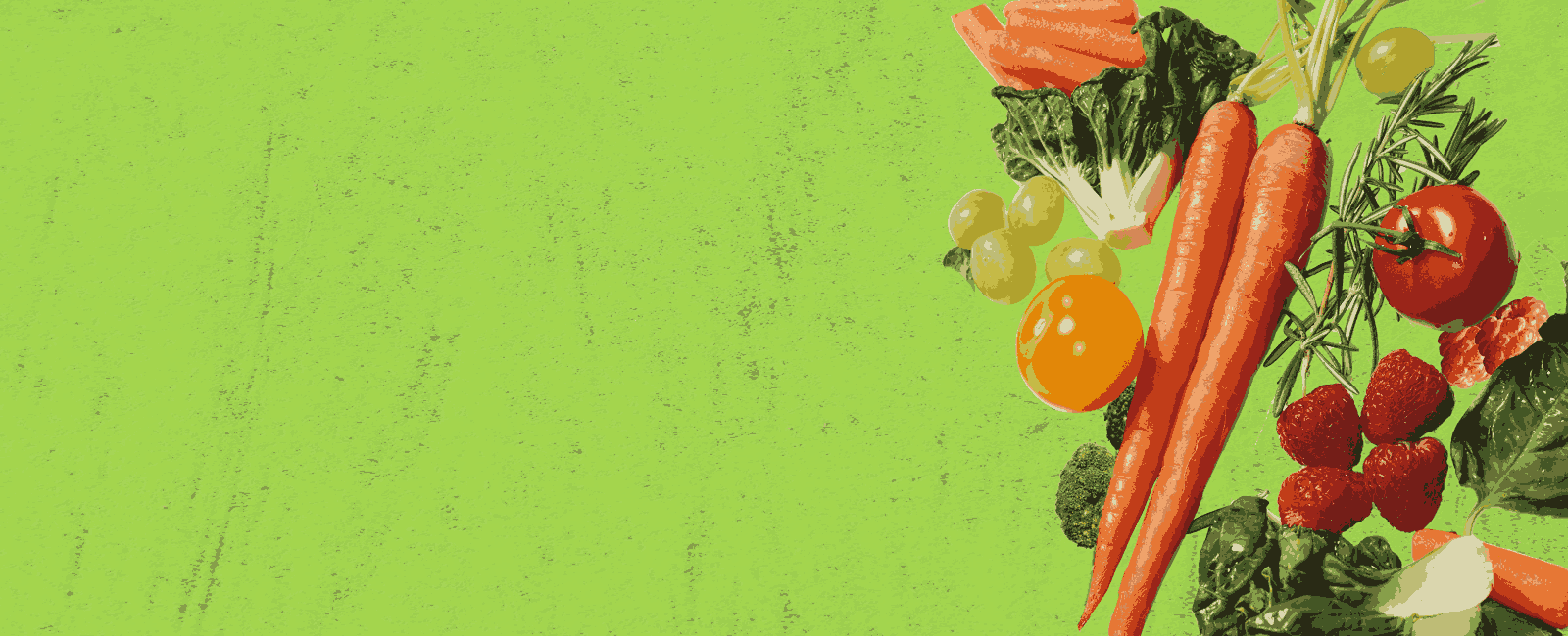 header-img.png